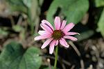 Dcim7190/DSC_0985