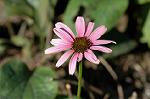 Dcim7190/DSC_0986