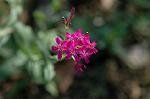 Dcim7190/DSC_1044