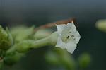 Dcim7190/DSC_1049