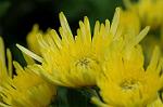 Dcim7190/DSC_1055