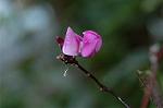 Dcim7190/DSC_1061