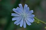 Dcim7190/DSC_1062