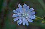 Dcim7190/DSC_1063