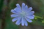Dcim7190/DSC_1065