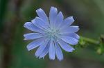 Dcim7190/DSC_1066
