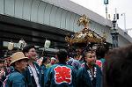 Dcim7203/DSC_2333