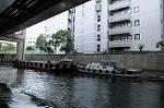 Dcim7204/DSC_2475