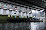 Dcim7204/DSC_2528