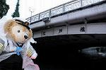 Dcim7206/DSC_2696