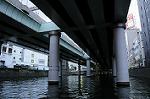 Dcim7206/DSC_2730
