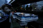 Dcim7206/DSC_2798