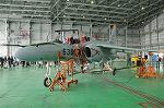 Dcim7221/DSC_4424