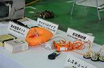 Dcim7222/DSC_4481