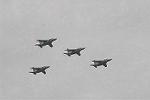 Dcim7224/DSC_8607