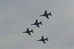 Dcim7224/DSC_8631