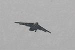 Dcim7225/DSC_8740
