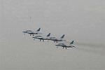 Dcim7226/DSC_8832