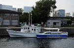Dcim7227/DSC_4788