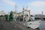 Dcim7227/DSC_4799