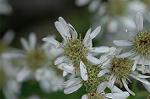 Dcim7229/DSC_1717