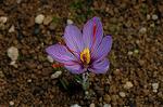 Dcim7229/DSC_1797