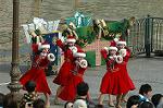 Dcim7231/DSC_1825