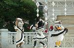 Dcim7233/DSC_2123