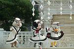 Dcim7233/DSC_2124