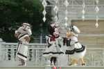 Dcim7233/DSC_2126