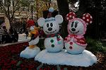 Dcim7234/DSC_5041