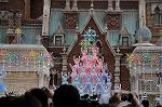 Dcim7236/DSC_5316