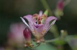 Dcim7244/DSC_2271