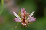 Dcim7244/DSC_2279