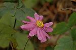 Dcim7244/DSC_2288