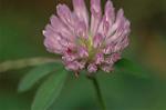 Dcim7244/DSC_2299