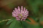 Dcim7244/DSC_2301