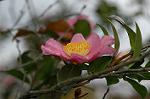 Dcim7244/DSC_2323