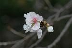 Dcim7244/DSC_2347