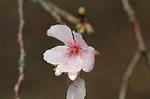 Dcim7244/DSC_2350
