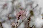 Dcim7244/DSC_2360