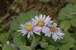 Dcim7245/DSC_2370