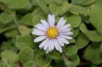 Dcim7245/DSC_2375
