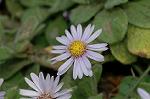 Dcim7245/DSC_2378