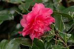 Dcim7245/DSC_2388