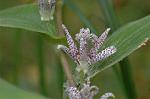 Dcim7245/DSC_2402