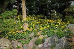 Dcim7246/DSC_6524