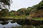 Dcim7246/DSC_6530