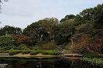 Dcim7246/DSC_6531