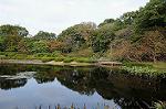 Dcim7246/DSC_6532